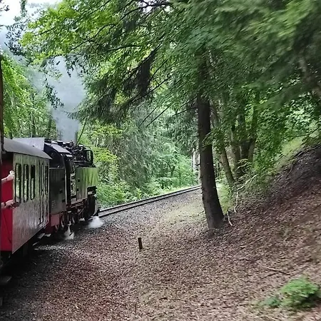 Hoher Weg - Urlaub, Wandern, Downhill Und Workation Am Nationalpark Harz