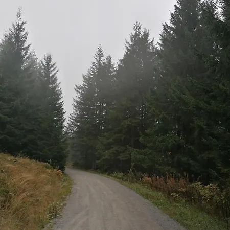 Hoher Weg - Urlaub, Wandern, Downhill Und Workation Am Nationalpark Harz * Sankt Andreasberg